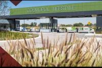 DEPA Cosmopol acepto roomies - Bed and Breakfast Mexico-stad