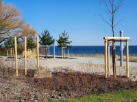 Sanddorn Haus Sanddorn - Whg 25 - B&B Grossenbrode