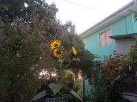 Cabaña en el centro de un huerto - Ferienwohnung La Serena