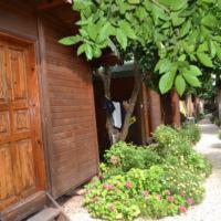 B&B Olympos - Olympos Doga Pansiyon - Bed and Breakfast Olympos