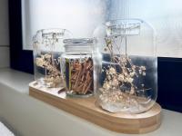 Jazlyn KJG City Loft at 51 on Lazarett - B&B Windhoek