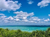 Standard Twin Room with Sea View