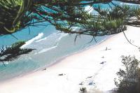 Sandy Shore Villa - Ferienwohnung Mollymook