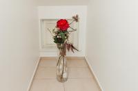 Ferienwohnung Blick auf die Berge - B&B Pidingerau