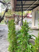 Double Room with Balcony (2 Adults + 1 Child)