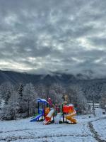 Romulus A-Frame - B&B Greşu