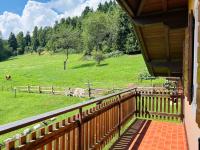 Albaredo Wood Terasse - B&B Rotzo