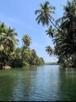 CoCo Camp Stay - B&B Honnavar