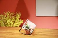 Standaard Tweepersoonskamer