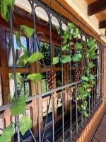 Alojamiento en el centro de Siberia Group - B&B Encarnación