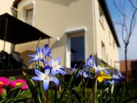 Ferienhaus Senta - B&B Haßloch