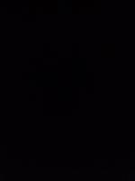 Homestay - B&B Dublino