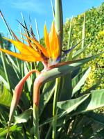 Chambres d'Hôtes La Casa Losa - Chambres d’hôtes Esposende