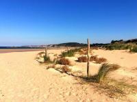 104 - Studio, dans une résidence les pieds dans l'eau à Sables D'or Les Pins - B&B Sables-d'Or-les-Pins