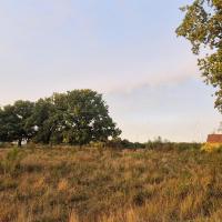 Authentiek vakantiehuis Bos-en-Veld - B&B Wingene