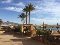 B&B Dahab - Dive Urge - Bed and Breakfast Dahab