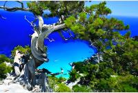 Vicol8 Casa Vacanze Dorgali - Chambres d’hôtes Dorgali