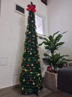 Stella Rosa Home - B&B Palermo