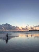 Studio Premium Face Océan, Balcon & Piscine - B&B Les Sables-d'Olonne