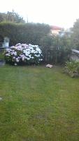 Linus Appartamenti by BREATHE LIGURIA - B&B La Spezia