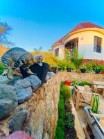 Lucky Monkey Lodge - Chambres d’hôtes Arusha