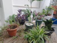 Smart Malls - Bed and Breakfast Belém