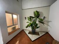 Nana's Dream - B&B Teror