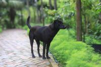 Mekong Rustic Riverside - Ferienwohnung Ấp An Nhơn