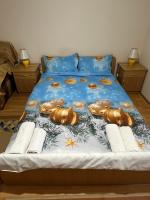 Garsonieră Brazda lui Novac - B&B Craiova