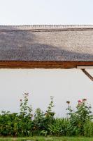 Bio Archehof - Zur Grube - B&B Podersdorf am See