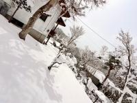 りす村別荘 - Bed and Breakfast Yamanaka