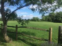 The Old Dairy Farm - B&B