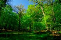 Agroturystyka Borówka - B&B Mały Dólsk