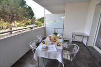 RNET - 130 Portomar Standart Roses - B&B Roses