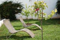 Residenza Celeste - B&B Alezio