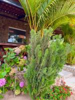 Pousada Vale Encantado - Ferienwohnung Serra de São Bento