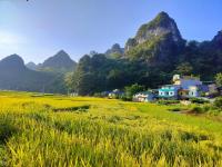 DongVan Panorama Ancient Homestay 1925 - Bed and Breakfast Thị Trấn Đồng Văn