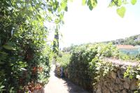 StressFree Villa - Ferienwohnung Ičići