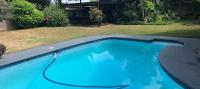Welcoming One Bedroom Flatlet with Pool - B&B Pietermaritzburg