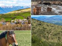 Guils Cal Peiró - Ferienwohnung Guils de Cerdanya