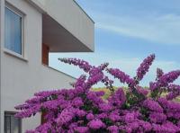 Apartmani Lucija - B&B Trogir