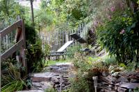 Charmante maison dans le centre & vue sur château - B&B La Roche-en-Ardenne