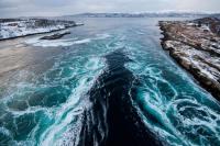 House in the middle of Saltstraumen - B&B Bodø