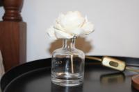 Memórias - Ferienwohnung Nogueira da Regedoura