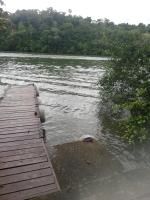 casa colibri cañón de rio dulce - B&B Lívingston