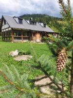 the Wild - B&B Volosyanka