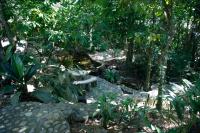 Casa Cangrejal B&B Hotel - B&B La Ceiba