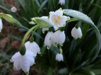 Casa con 2 Camere da Letto