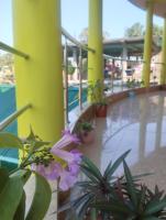 Morning Mist Home stay - B&B Jorhat