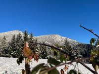 Ferienwohnung Niederbergerhof - Ferienwohnung Unken